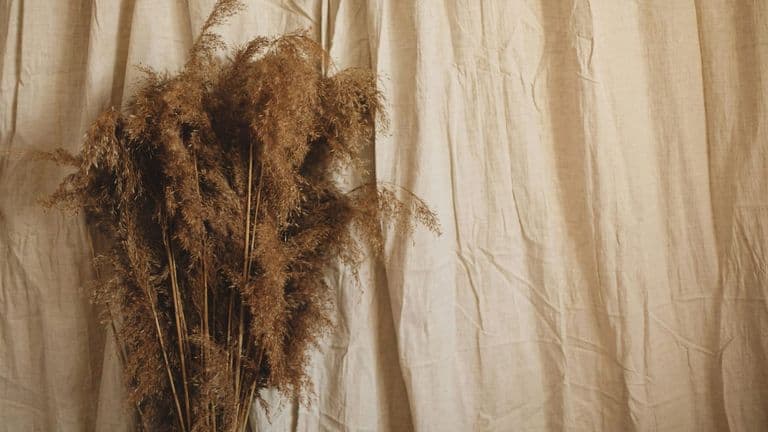 ‘Rushmere’ by Mumford & Sons – A Return to Roots with a Modern Twist
