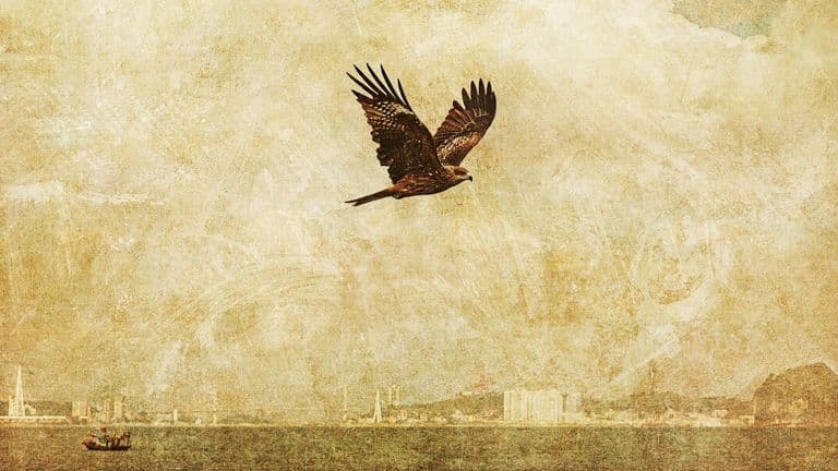 A dark bird of prey soars over a calm sea, with a distant city skyline and a small boat silhouetted below against a textured background.