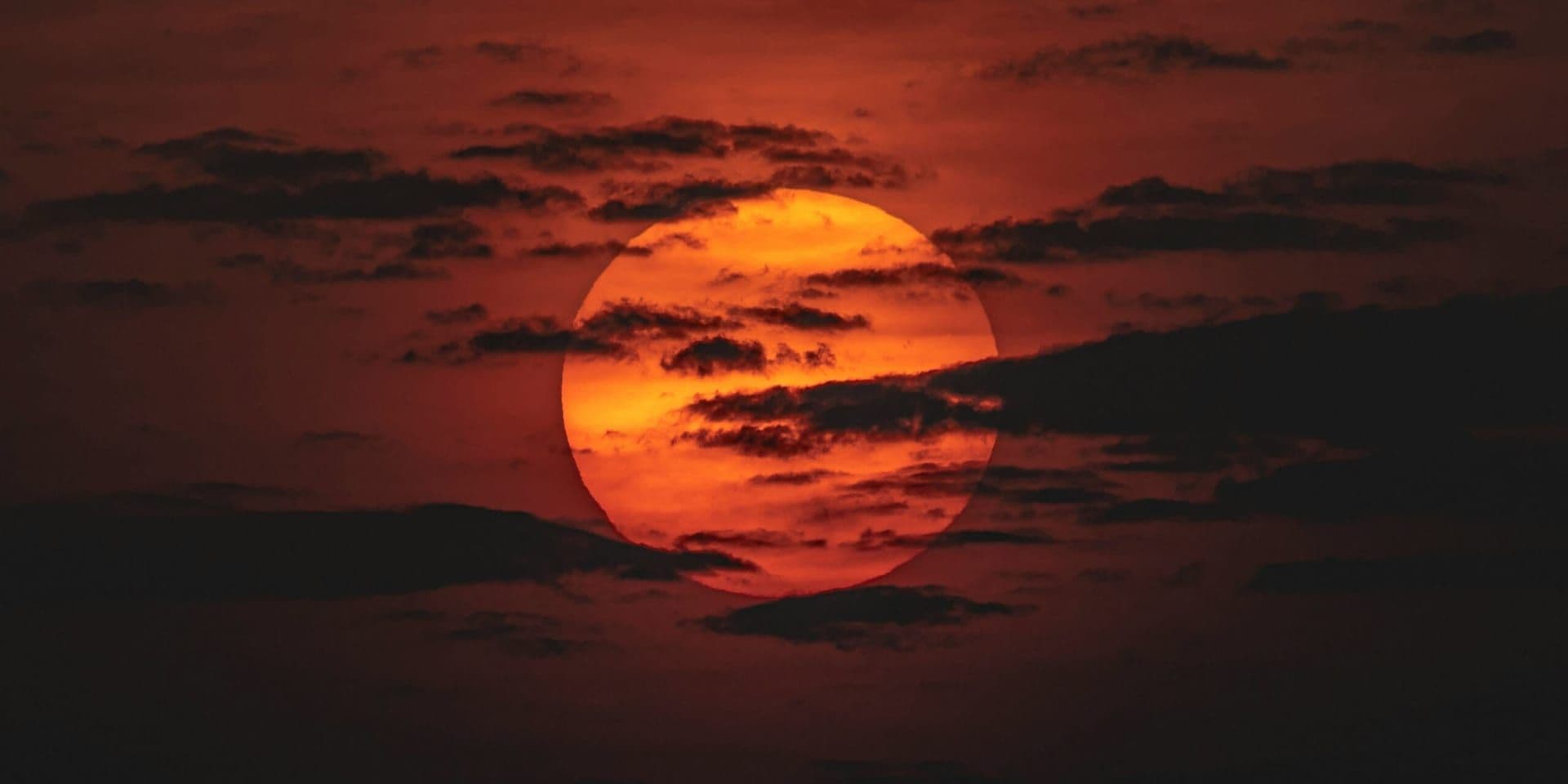 The Enduring Magic of ‘Eclipse’ by Harper Rose: A Timeless Journey Through Sound