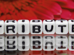 White dice with the word "TRIBUTE" printed, reflecting on a shiny surface with flowers in background