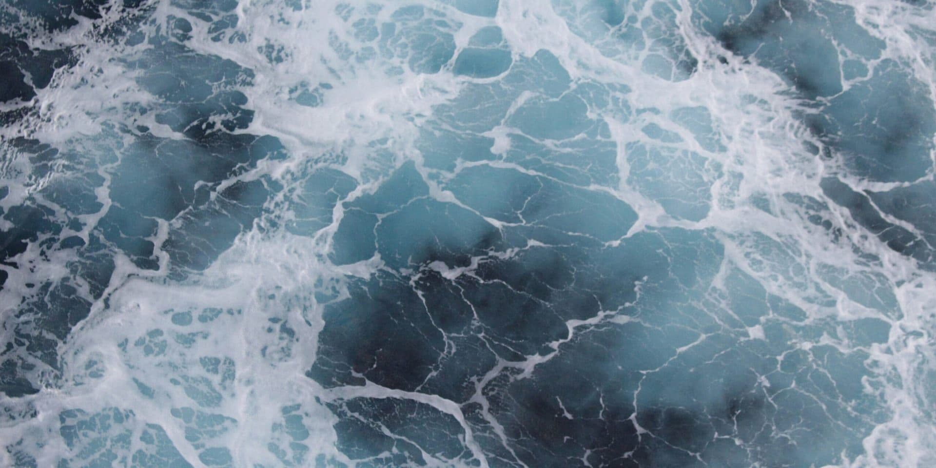 “The Rising Tide” by Blue Echo – A Deep Dive Into a Modern Indie Classic