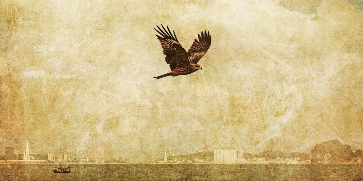 A dark bird of prey soars over a calm sea, with a distant city skyline and a small boat silhouetted below against a textured background.